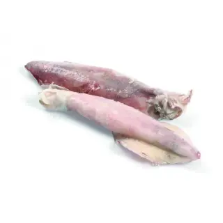 CALAMARI SPORCHI 20/25 IQF VIETNAM 7kg 10%(NF)