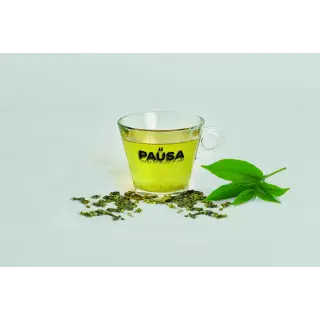 CAPSULA DG GREEN TEA IN FOGLIE 30PZ