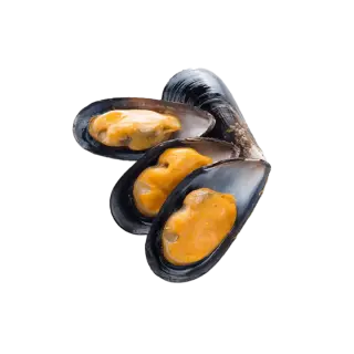 COZZE CILE MEZZO GUSCIO 60/80 fao87 9kg(ID)