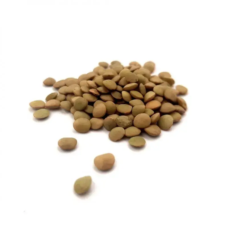 LENTICCHIA LAGGIU' 1kg(PE)