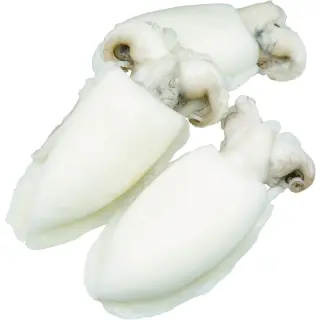 SEPPIA PULITA 200/400 SENEGAL 8KG(IK)