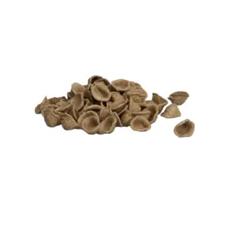 ORECCHIETTE AL GRANO ARSO 3kg