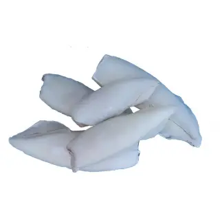 CALAMARO PULITO U5 THAY