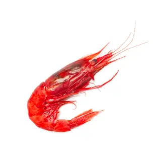 GAMBERO ROSSO 3° MAZARA fao 37.3.1 1kg netto(AL)