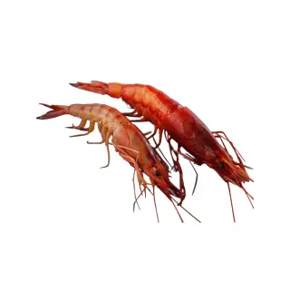 GAMBERI ROSSI E VIOLA 4^ FAO 37.2.2 5KG CA(MG)