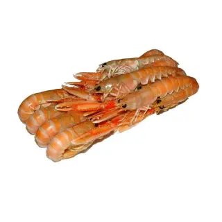SCAMPI IRLANDA 17/20 ROONEY FISH 6PZX750GR(SU)