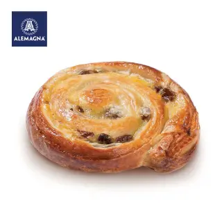 GIRUVETTA ALEMAGNA 45PZX100GR(FR)