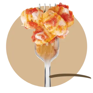 GNOCCHI POMODORO/MOZZARELLA 4PZX350GR