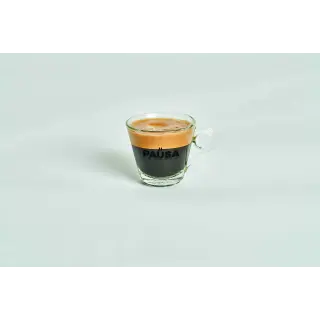 CAPSULA DG CAFFE' DECAFFEINATO 100PZ