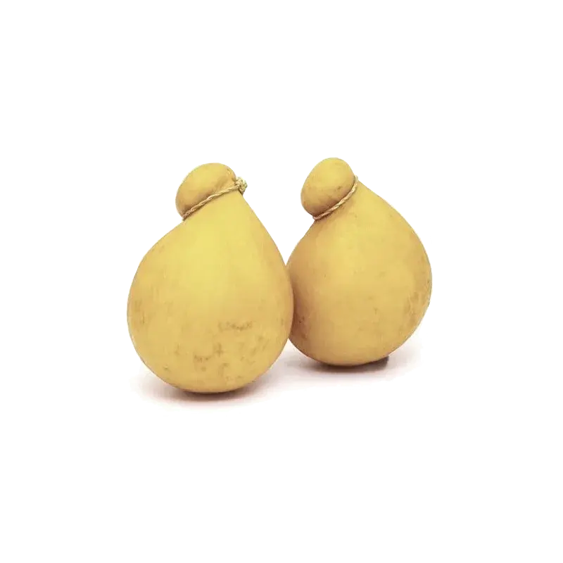 PROVOLONE CACIOCAVALLO