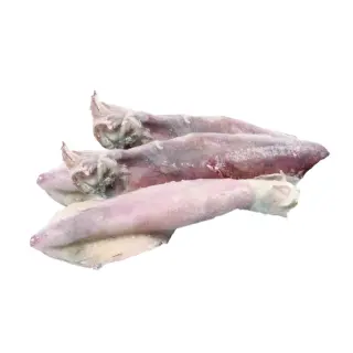 CALAMARO SPORCO 3/6 INDIA IQF 8kg netto(NF)
