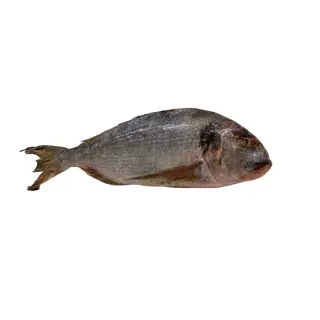 ORATA MAROCCO BORDO G 3KG CA 20KG CA(IK)