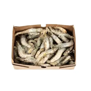 MAZZANCOLLA INTERA TROPICALE 30/40 IQF PRESTIGE 5kg