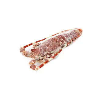 ARAGOSTA MAROCCO 100/200 IQF 8KG(GF)