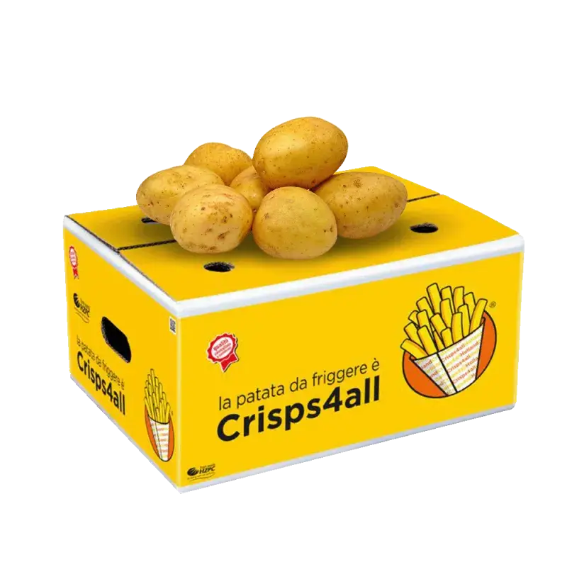 PATATE FRITTURA CRISPS4ALL 12kg(DA)