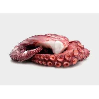 TENTACOLI DI POLPO COTTO 100/140 3pzX2kg(IK)