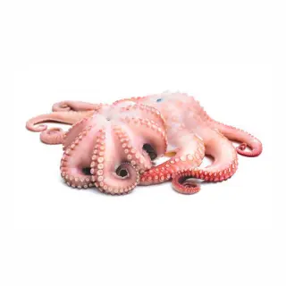 POLPO MAROCCO T7 FIORE IQF 12KG(IC)