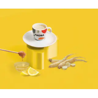 GINSENG MIELE/LIMONE SOLUBILE PAUSA 500GR