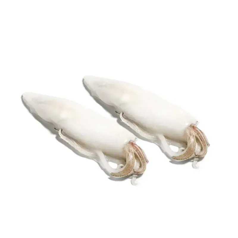 CALAMARO PULITO MAROCCO G IWP 5kg(GF)