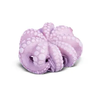 POLPO T8 GREECE IQF OCT.VULG. FAO 37.3.1 10KG