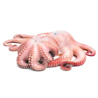 POLPO T7 MAROCCO FIORE IQF 12kg(IK)