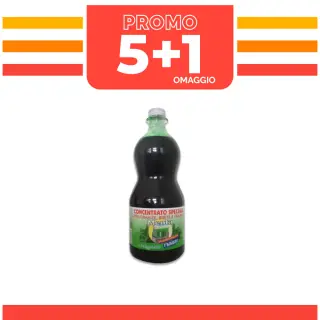 PROMO CONCENTRATO MENTA 5+1