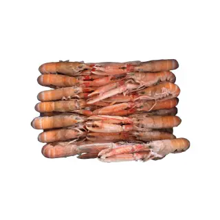 SCAMPI 5/10 CONGELATI BORDO FAO27 3KG(ID)