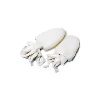 SEPPIA MAROCCO IQF 400/600 12KG(IC)