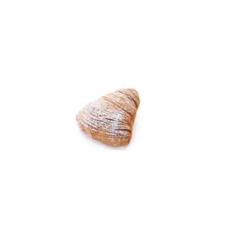 NEAPOLITAN SFOGLIATELLA 30pcs