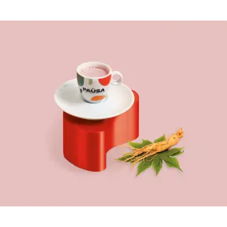 GINSENG ROSSO SOLUBILE PAUSA 500GR