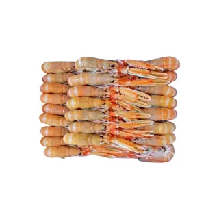 SCAMPI IRLANDA 21/25 fao 27 1,350kg