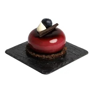 FORESTA NERA MONO S.GLU./S.LAT. 9PZX120GR(TU)