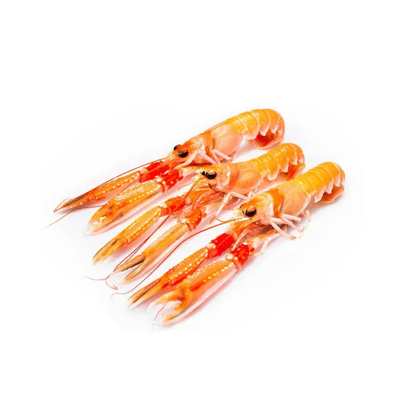 SCAMPI INTERI 17/20 OROMAR 750gr