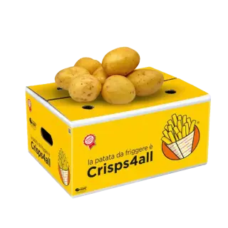 PATATE FRITTURA CRISPS4ALL 12kg(DA)