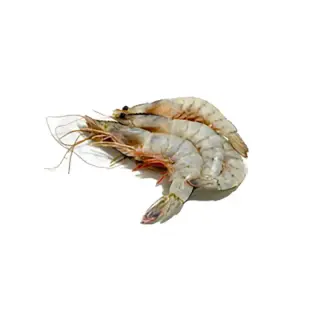 GAMBERI INTERI ECUADOR 50/60 IQF RIAZOR 9kg(SU)