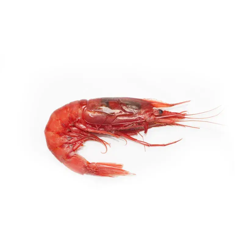 GAMBERI L1 RIAZOR 6pzX2kg(NE)