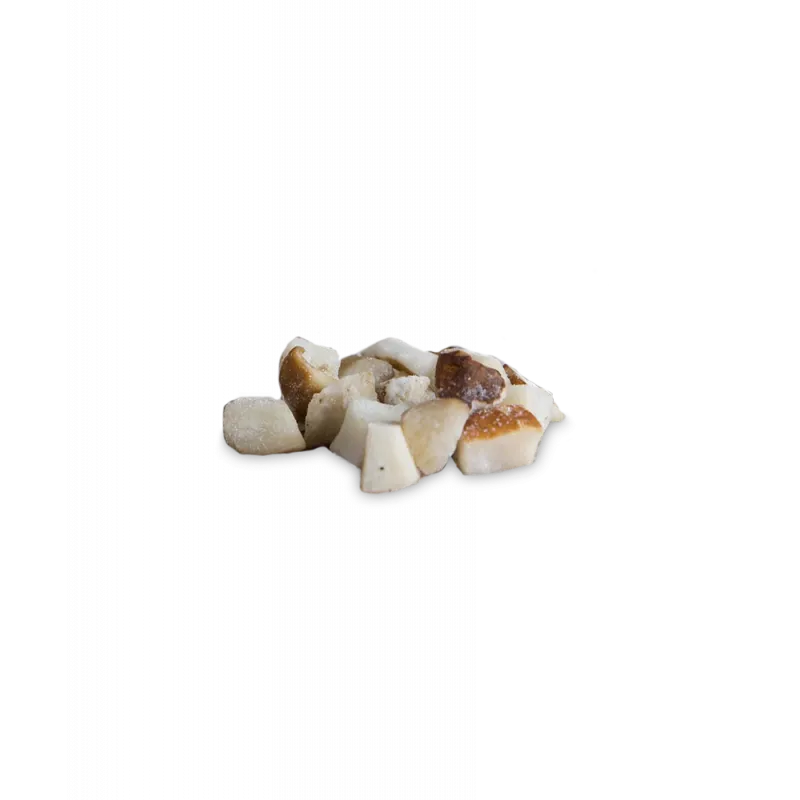 FROZEN CUBE PORCINI